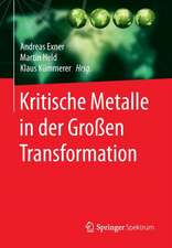 Kritische Metalle in der Großen Transformation