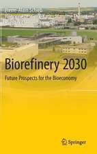 Biorefinery 2030: Future Prospects for the Bioeconomy