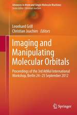 Imaging and Manipulating Molecular Orbitals: Proceedings of the 3rd AtMol International Workshop, Berlin 24-25 September 2012