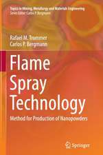 Flame Spray Technology: Method for Production of Nanopowders