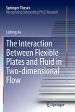 The Interaction Between Flexible Plates and Fluid in Two-dimensional Flow