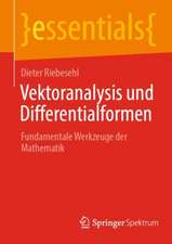 Vektoranalysis und Differentialformen: Fundamentale Werkzeuge der Mathematik