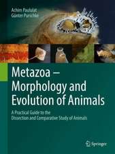 Metazoa – Morphology and Evolution of Animals: A Practical Guide to the Dissection and Comparative Study of Animals