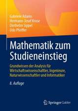 Mathematik zum Studieneinstieg