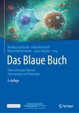 Das Blaue Buch