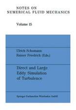 Direct and Large Eddy Simulation of Turbulence: Proceedings of the EUROMECH Colloquium No. 199, München, FRG, September 30 to October 2, 1985