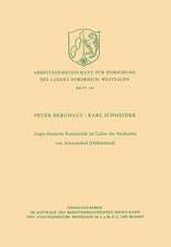 Anglo-friesische Runensolidi im Lichte des Neufundes von Schweindorf (Ostfriesland)