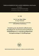 Erarbeitung der physikalisch-meßtechnischen Grundlagen für eine Kompensationsmethode an Erdfelddetektoren in magnetkompaßgestützten Navigationsanlagen in Großflugzeugen