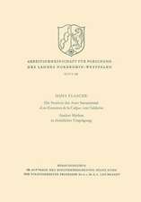 Die Struktur des Auto Sacramental «Los Encantos de la Culpa» von Calderón. Antiker Mythos in christlicher Umprägung