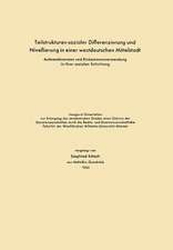 Teilstrukturen sozialer Differenzierung und Nivellierung in einer westdeutschen Mittelstadt: Aufwandsnormen und Einkommensverwendung in ihrer sozialen Schichtung