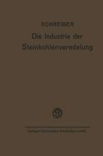 Die Industrie der Steinkohlenveredelung: Zusammenfassende Darstellung der Aufbereitung, Brikettierung und Destillation der Steinkohle und des Teers