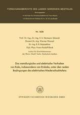 Das metallurgische und elektrische Verhalten von Koks, insbesondere von Erzkoks, unter den realen Bedingungen des elektrischen Niederschachtofens