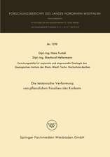 Die taktonische Verformung von pflanzlichen Fossilien des Karbons