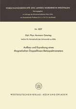 Aufbau und Erprobung eines Magnetischen Doppellinsen-Betaspektrometers