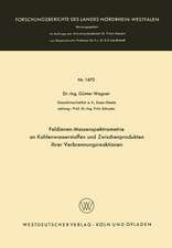 Feldionen-Massenspektrometrie an Kohlenwasserstoffen und Zwischenprodukten ihrer Verbrennungsreaktionen