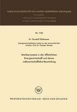 Marktprozesse in der öffentlichen Energiewirtschaft und deren volkswirtschaftliche Beurteilung