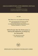 Untersuchungen über den Mischvorgang zur Senkung des Kalkbedarfs und Steigerung der Steinqualität