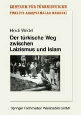 Der türkische Weg zwischen Laizismus und Islam