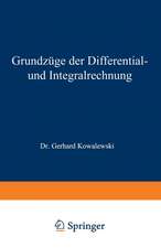 Grundzüge der Differential- und Integralrechnung