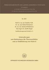 Untersuchungen zum Mechanismus der Thermooxidation und zur Stabilisierung von Nylon 6