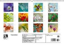 Naturfarben (Wandkalender 2016 DIN A3 quer)