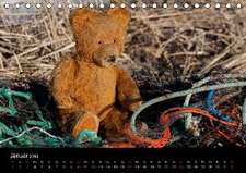 Teddy Basse (Tischkalender 2016 DIN A5 quer)