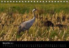 Natur im Landkreis Osterholz (Tischkalender 2016 DIN A5 quer)