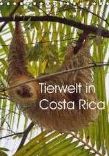 Tierwelt in Costa Rica (Tischkalender 2016 DIN A5 hoch)