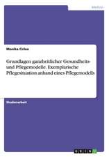 Grundlagen ganzheitlicher Gesundheits- und Pflegemodelle. Exemplarische Pflegesituation anhand eines Pflegemodells