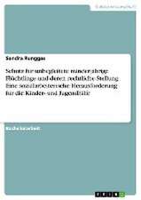 Schutz für unbegleitete minderjährige Flüchtlinge und deren rechtliche Stellung. Eine sozialarbeiterische Herausforderung für die Kinder- und Jugendhilfe