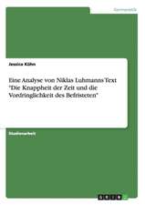 Eine Analyse von Niklas Luhmanns Text 