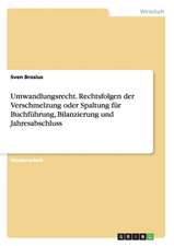 Umwandlungsrecht. Rechtsfolgen der Verschmelzung oder Spaltung für Buchführung, Bilanzierung und Jahresabschluss