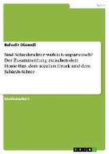 Sind Schiedsrichter wirklich unparteiisch? Der Zusammenhang zwischen dem Home-Bias, dem sozialen Druck und dem Schiedsrichter