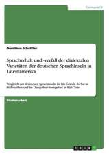 Spracherhalt und -verfall der dialektalen Varietäten der deutschen Sprachinseln in Lateinamerika