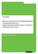 Thermo-mechanische und mikrostrukturelle Charakterisierung von Kupfer-Durchkontaktierungen im Silizium (Through Silicon Vias)