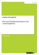 Was sind Translationsprobleme und -schwierigkeiten?