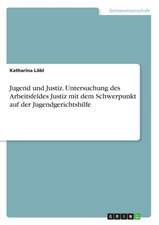 Jugend und Justiz. Untersuchung des Arbeitsfeldes Justiz mit dem Schwerpunkt auf der Jugendgerichtshilfe