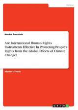 Are International Human Rights Instruments Effective in Protecting People's Rights from the Global Effects of Climate Change?