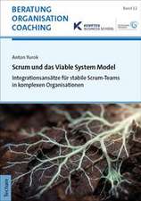Scrum und das Viable System Model