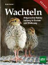 Wachteln