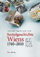 Sozialgeschichte Wiens 1740-2010