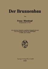 Der Brunnenbau