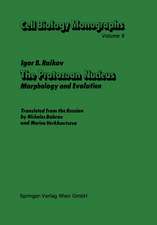 The Protozoan Nucleus: Morphology and Evolution