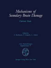 Mechanisms of Secondary Brain Damage: Current State