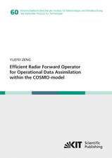 Efficient Radar Forward Operator for Operational Data Assimilation within the COSMO-model