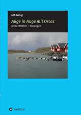 Auge in Auge Mit Orcas