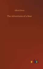 The Adventures of a Bear