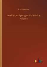 Freshwater Sponges, Hydroids & Polyzoa