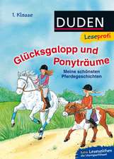 Leseprofi - Glücksgalopp und Ponyträume, 1. Klasse