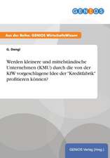 Werden kleinere und mittelständische Unternehmen (KMU) durch die von der KfW vorgeschlagene Idee der 